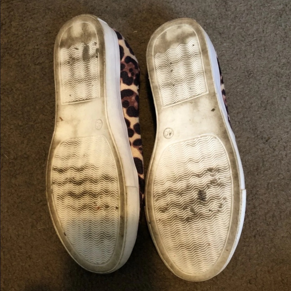 Leopard slides - Picture 4 of 4